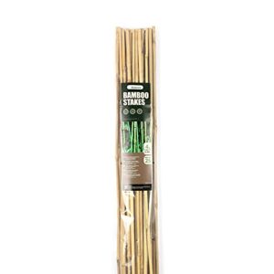 Cambaverd 25 Pcs Bamboo Garden Stakes 4 Feet Eco-Friendly Bamboo Plant Stakes, for Roma Tomatoes Sunflowers Pole Beans Trees Potted Dahlia Flowers and Climbing Plants - Pack of 25 Bamboo Sticks