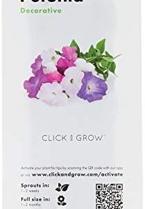 Click and Grow Smart Garden Petunia Plant Pods, 3-Pack