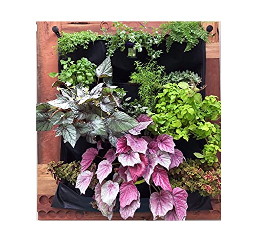 12 Pocket Indoor Waterproof Vertical Living Wall Planter