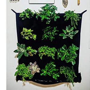 12 Pocket Indoor Waterproof Vertical Living Wall Planter