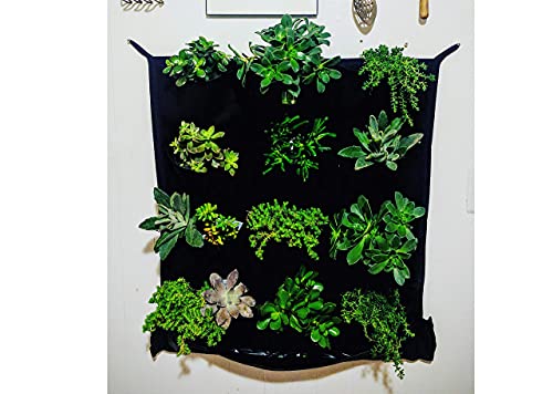 12 Pocket Indoor Waterproof Vertical Living Wall Planter