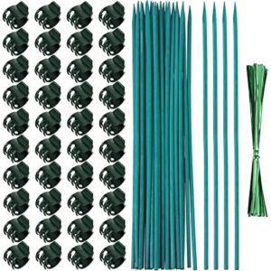 jetec 40 pieces orchid clips plastic garden plant clips with 20 pieces plant support stakes, 20 pieces metallic twist ties for supporting stems vines stalks grow upright (38 cm)