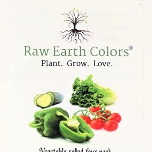 Vegetable Seeds for Planting Vegetables - Variety Salad Pack - Romaine Lettuce - Cherry Tomato - Cucumber - Bell Pepper!