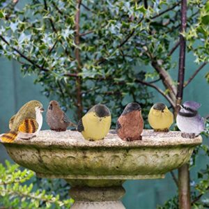 Sanbege Bird Statues, Bird Figurine Home Decor, Bird Sculpture for Garden, Birdhouse, Bird Theme Decor, Set of 6