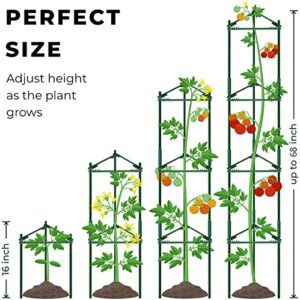 K-Brands Tomato Cage – Premium Tomato Plant Stakes Support Cages Trellis for Garden and Pots (Upto 68 Inches Tall)