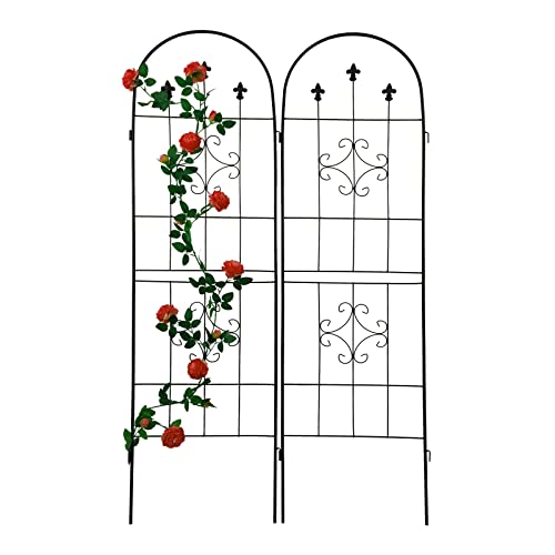 eLeGreen 2 Pack Metal Garden Trellis for Climbing Plants 19.7''x 71'' Rustproof Metal Rose Trellis Vines Peas Support Plant Stand Black