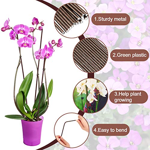Mudder 10 Pieces Metal Plant Stakes with 50 Pieces Orchid Clips Plastic Garden Plant Clips, 200 Pieces Twist Flexible Garden Plant Ties for Supporting Stems Vines Stalks Grow Upright (Dark Coffee)