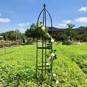 Garden Arch Trellis for Climbing Plants Rose Thicken Metal Wedding Arches Arbor Ceremony Party Outdoor Floral Decor Bronze