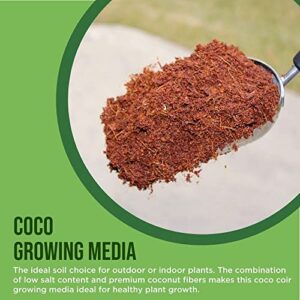 Envelor Coco Coir Brick Coconut Fiber for Plants Natural Garden Soil for Vegetables Potting Soil Block Coco Peat Coco Coir Bulk Coconut Husk Planting Soil 10 lbs Compressed Coconut Coir Brick, 1 Pack