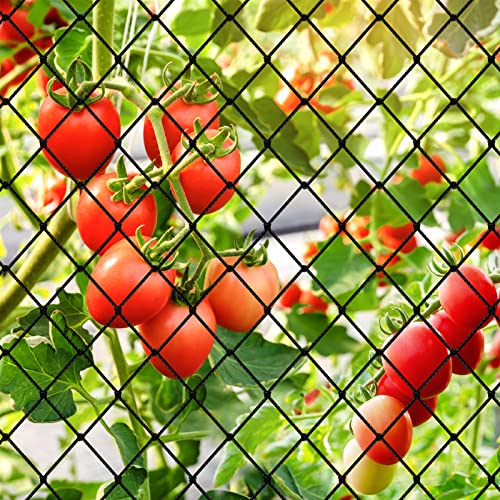 Bird Netting, Garden Netting with 3/4” Mesh Net as Poultry Netting for Chicken Coop, Heavy Duty Nylon Netting for Garden Protection, Fruit Tree Netting for Orchard, Vegetable Against Squirrels, Deer