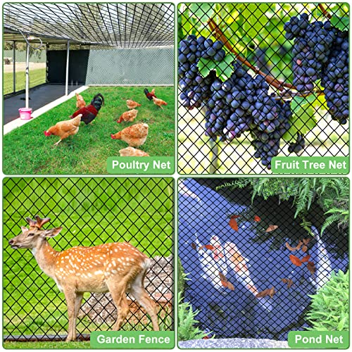 Bird Netting, Garden Netting with 3/4” Mesh Net as Poultry Netting for Chicken Coop, Heavy Duty Nylon Netting for Garden Protection, Fruit Tree Netting for Orchard, Vegetable Against Squirrels, Deer