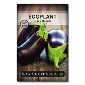 Sow Right Seeds - Black Beauty Eggplant Seed for Planting - Non-GMO Heirloom Packet with Instructions to Plant an Outdoor Home Vegetable Garden - Great Gardening Gift (1)