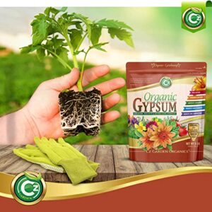 Organic Gypsum - Made in USA - Calcium Sulfate Dihydrate Powder - Garden Soil Amendment Fertilizer for Lawns, Plants, Mushroom Cultivation. Calcium & Sulfur Additive. Cures Blossom End Rot in Tomatoes