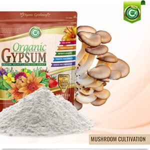 Organic Gypsum - Made in USA - Calcium Sulfate Dihydrate Powder - Garden Soil Amendment Fertilizer for Lawns, Plants, Mushroom Cultivation. Calcium & Sulfur Additive. Cures Blossom End Rot in Tomatoes