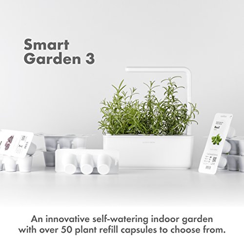 Click & Grow Indoor Herb Garden Kit with Grow Light | Smart Garden for Home Kitchen Windowsill | Easier Than Hydroponics Growing System | Vegetable Gardening Starter (3 Basil Pods Included), Grey