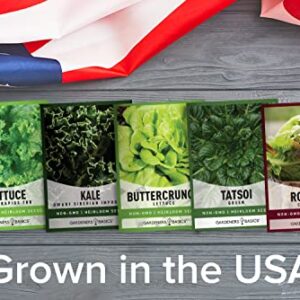 Hydroponic Seeds for Planting Planting Indoors and Outdoor 5 Variety Pack - Tatsoi, Kale, Buttercrunch, Romaine and Loose Leaf Lettuce Seeds by Gardeners Basics