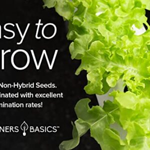 Hydroponic Seeds for Planting Planting Indoors and Outdoor 5 Variety Pack - Tatsoi, Kale, Buttercrunch, Romaine and Loose Leaf Lettuce Seeds by Gardeners Basics