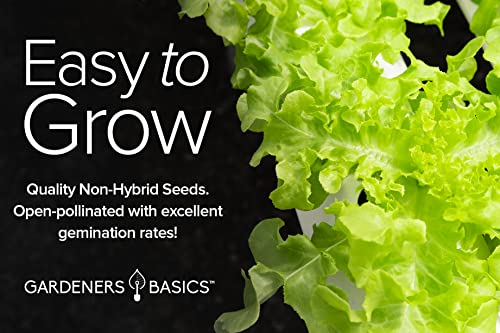 Hydroponic Seeds for Planting Planting Indoors and Outdoor 5 Variety Pack - Tatsoi, Kale, Buttercrunch, Romaine and Loose Leaf Lettuce Seeds by Gardeners Basics