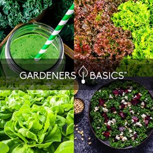 Hydroponic Seeds for Planting Planting Indoors and Outdoor 5 Variety Pack - Tatsoi, Kale, Buttercrunch, Romaine and Loose Leaf Lettuce Seeds by Gardeners Basics