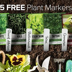 Hydroponic Seeds for Planting Planting Indoors and Outdoor 5 Variety Pack - Tatsoi, Kale, Buttercrunch, Romaine and Loose Leaf Lettuce Seeds by Gardeners Basics