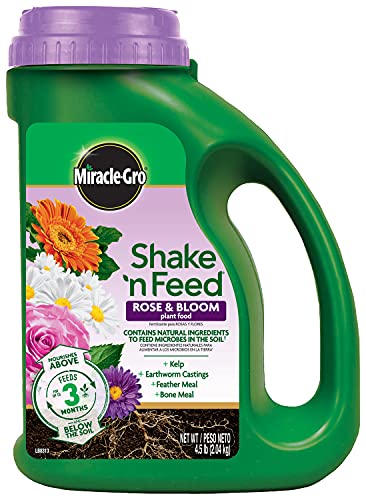 Miracle-Gro Plant Food 3002210 Shake 'N Feed Rose and Bloom Continuous Release Pl, 4.5 lb