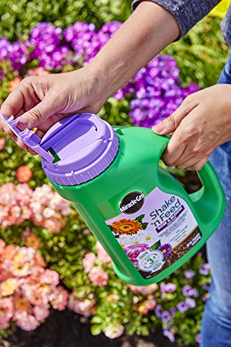 Miracle-Gro Plant Food 3002210 Shake 'N Feed Rose and Bloom Continuous Release Pl, 4.5 lb