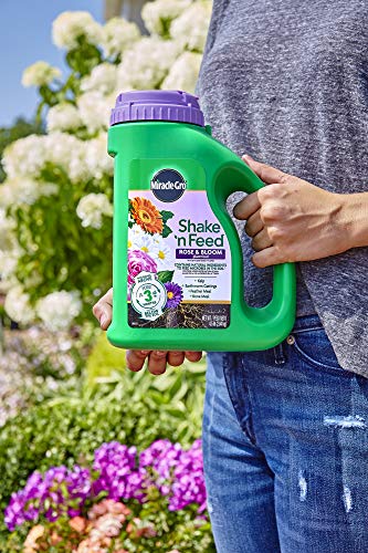 Miracle-Gro Plant Food 3002210 Shake 'N Feed Rose and Bloom Continuous Release Pl, 4.5 lb