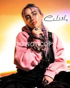 billie eilish singer 11×14 signed reprint poster photo dark pop #2 rp