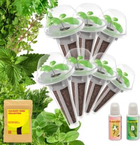herb seed starter pod kit plant for aerogarden,mufga, inbloom 5 pods hydroponics growing system, indoor garden, 7-pods (300+ seeds included basil, parsley, oregano, thyme, mint, cilantro, and dill)