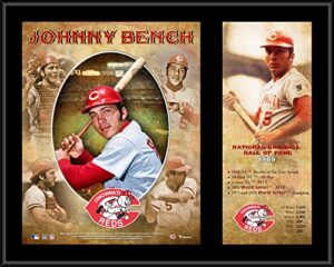 johnny bench cincinnati reds 12″ x 15″ hall of fame career profile sublimated plaque – mlb player plaques and collages