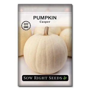 sow right seeds – white casper pumpkin seed for planting – non-gmo heirloom packet with instructions to plant a home vegetable garden