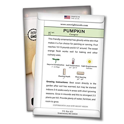 Sow Right Seeds - White Casper Pumpkin Seed for Planting - Non-GMO Heirloom Packet with Instructions to Plant a Home Vegetable Garden