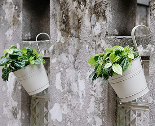 SOMTO 6.1 Inch Large Vintage Hanging Flower Pots Metal Iron Bucket Planter for Railing Fence Balcony Garden Home Decoration Flower Holders with Detachable Hooks,Set of 4