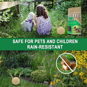 SUAVEC Squirrel Repellent Outdoor, Chipmunk Repellent Outdoor, Squirrel Deterrent Mint, Squirrels Repellent for Garden, Outdoor Repellent Squirrels for Attic, Keep Squirrel Away for Plants -8 Pack