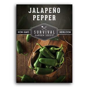 survival garden seeds – jalapeño pepper seed for planting – packet with instructions to plant and grow green or red chili peppers in your home vegetable garden – non-gmo heirloom variety – single pack