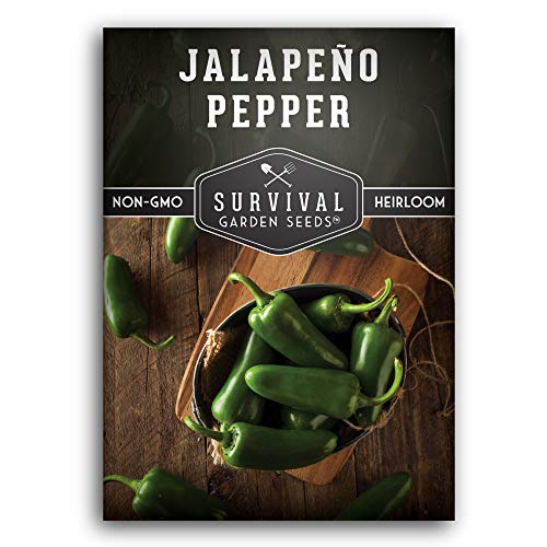 Survival Garden Seeds - Jalapeño Pepper Seed for Planting - Packet with Instructions to Plant and Grow Green or Red Chili Peppers in Your Home Vegetable Garden - Non-GMO Heirloom Variety - Single Pack