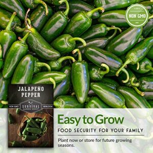 Survival Garden Seeds - Jalapeño Pepper Seed for Planting - Packet with Instructions to Plant and Grow Green or Red Chili Peppers in Your Home Vegetable Garden - Non-GMO Heirloom Variety - Single Pack