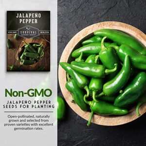 Survival Garden Seeds - Jalapeño Pepper Seed for Planting - Packet with Instructions to Plant and Grow Green or Red Chili Peppers in Your Home Vegetable Garden - Non-GMO Heirloom Variety - Single Pack