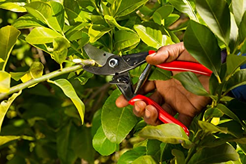 Felco Pruning Shears (F 5) - High Performance Swiss Made One-Hand Garden Pruners