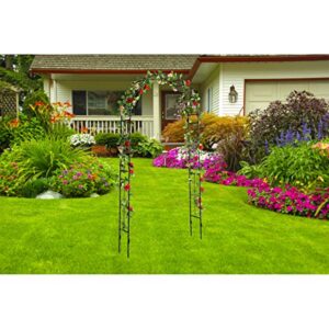 DOEWORKS Garden Arch, 3' 11''Wide x 7'10''High Garden Arbor with Sharp Ends for Climbing Vines and Plants,Weddings, Party Decoration, Black