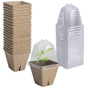 purple star 1n 20 pcs seeding starter peat pots with humidity dome-2.3 inch square biodegradable plant nursery pots-eco-friendly seedling planting pot for garden vegetable flower germination