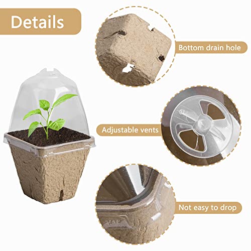 PURPLE STAR 1N 20 PCS Seeding Starter Peat Pots with Humidity Dome-2.3 Inch Square Biodegradable Plant Nursery Pots-Eco-Friendly Seedling Planting Pot for Garden Vegetable Flower Germination