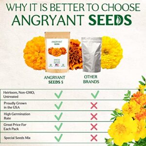 Marigold Petite Mix Seeds - 999+ Heirloom Flower Seeds for Planting Indoors and Outdoors in Your Home Garden - Non GMO, USA Grown - Annual, Open Pollinated Wildflower Seeds Bulk for Companion Planting