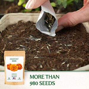 Marigold Petite Mix Seeds - 999+ Heirloom Flower Seeds for Planting Indoors and Outdoors in Your Home Garden - Non GMO, USA Grown - Annual, Open Pollinated Wildflower Seeds Bulk for Companion Planting