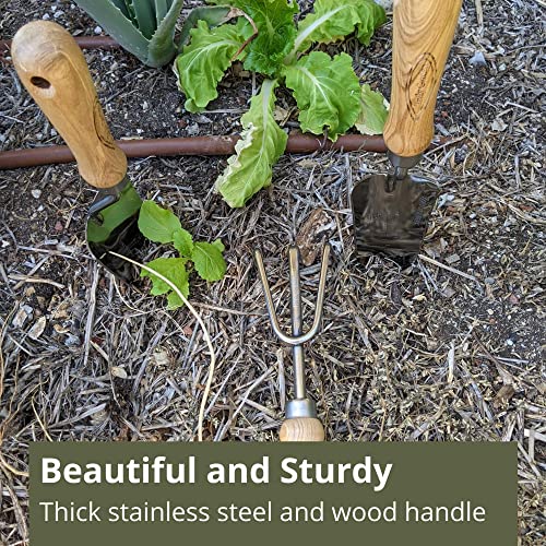 Classic 3 Piece Garden Hand Tool Set Made with Wooden Handle and Stainless Steel. Includes Large Trowel, Cultivator Hand rake, and Transplanter Trowel. Tools are Large and Heavy Duty. by Truly Garden