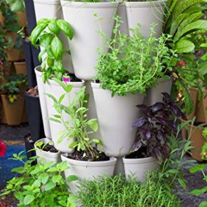 Greenstalk Patented Large 5 Tier Vertical Garden Planter with Patented Internal Watering System Great for Growing a Variety of Strawberries, Vegetables, Herbs, & Flowers (Stunning Stone)