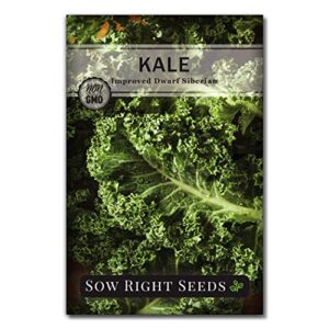 sow right seeds – dwarf siberian improved kale seed for planting – non-gmo heirloom packet with instructions to plant a home vegetable garden, great gardening gift (1)