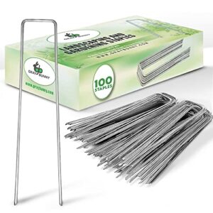 gray bunny landscape staples, 100 pack, 6 inch (15.2 cm) 11 gauge garden stakes, rust resistant galvanized steel ground u shaped pins to secure lawn fabrics weed barrier covers & tubing