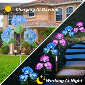 Solar Lights Outdoor Decorative - 2 Pack Hydrangea Solar Garden Stake Lights Waterproof and Realistic LED Flowers Powered Outdoor In-Ground Lights for Garden Lawn Patio Backyard (Purple and blue)