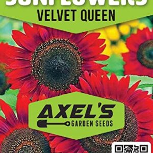 Sunflower Seeds for Planting - Grow Red Velvet Queen Sun Flowers in Your Garden - 25 Non GMO Heirloom Seeds - Full Planting Instructions for Easy to Grow - Great Gardening Gifts (1 Packet)